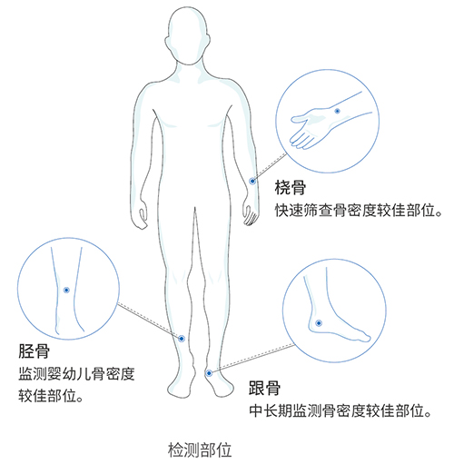 超聲骨密度儀OSTEOKJ3700S應用領域