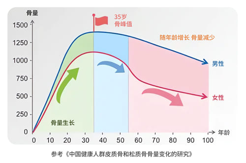 骨質健康變化表